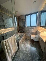 Cairnhill Nine (D9), Apartment #462660411